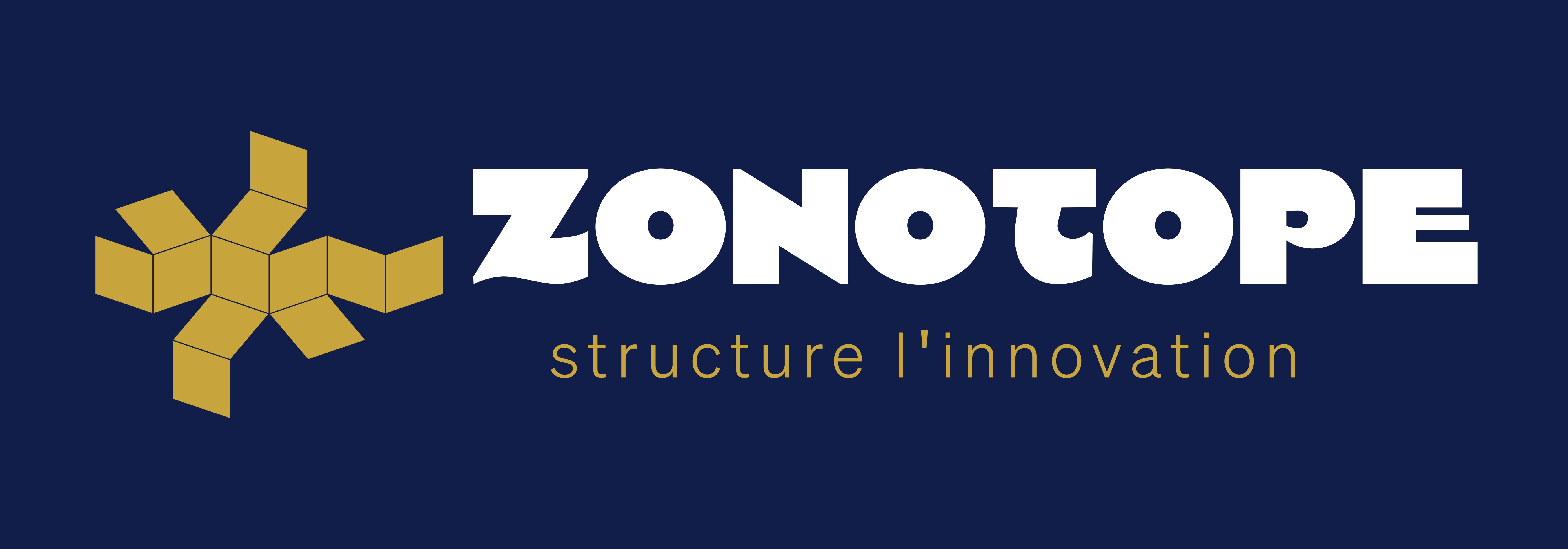 Zonotope